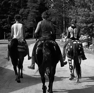 Meet your Posher, Rhiannon